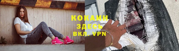 винт Богданович