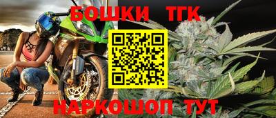 прущие грибы Тосно