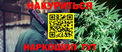 прущие грибы Тосно