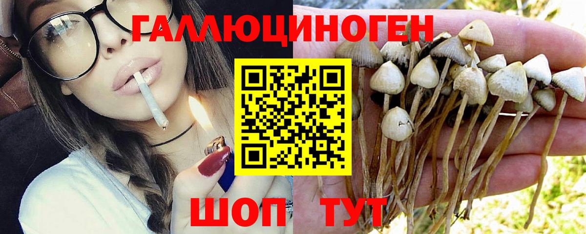 дарнет шоп  Вход с VPN  Псилоцибиновые грибы мухоморы  Вязьма  Псилоцибиновые грибы Cubensis 