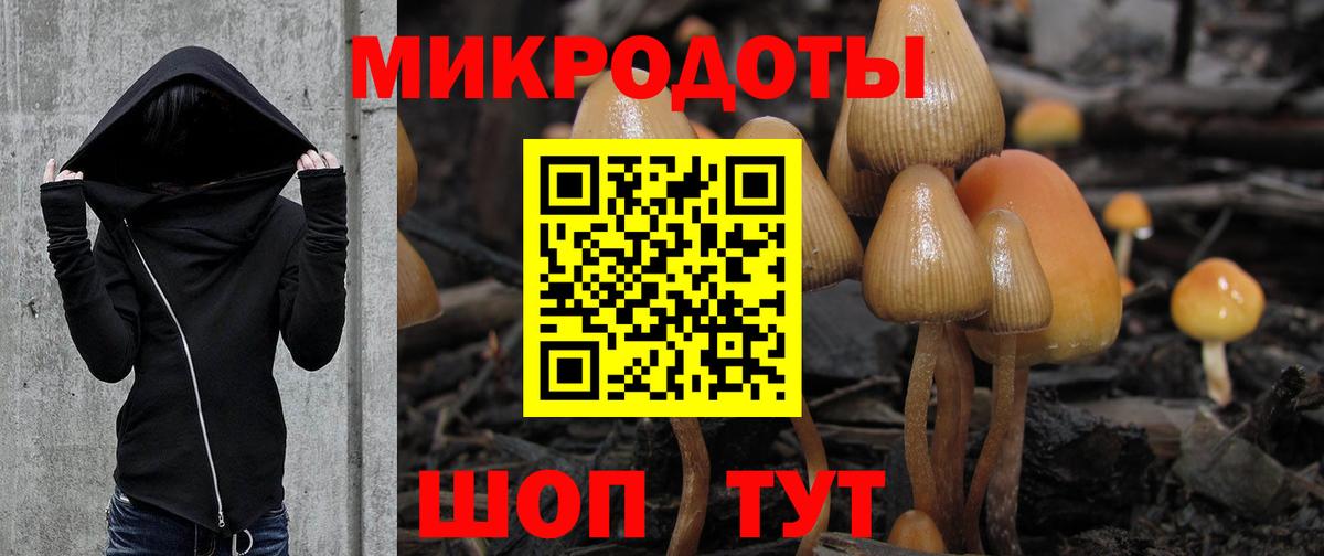 Псилоцибиновые грибы мухоморы Вязьма